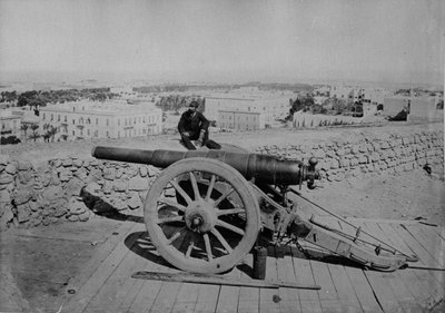 Artillerie, ca. 1880-83 von English Photographer